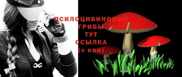 герыч Мегион
