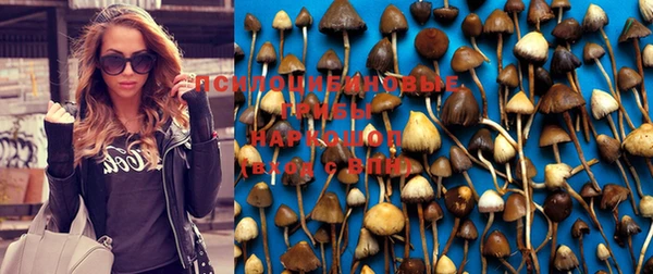 герыч Мегион