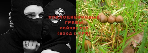 мет Магас