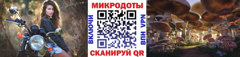 Галлюциногенные грибы прущие грибы  OMG ТОР  Кочубеевское 